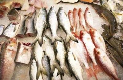 13 видов рыбы, которые нельзя есть - fokus-vnimaniya.com - Чили