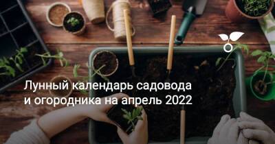 Лунный календарь садовода и огородника на апрель 2022 - sadogorod.club