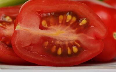 Светлана Протас - ТОП-3 сорта томатов, которые растут сами собой: под силу вырастить даже ленивым дачникам - sadogorod.club