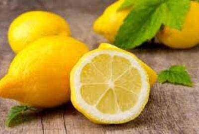 Как вырастить лимон в домашних условиях? Рассказываем... - sadogorod.club