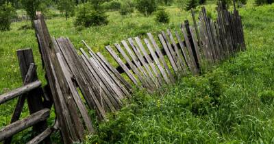 Деревянный забор: как можно защитить важную конструкцию от гниения - novate.ru