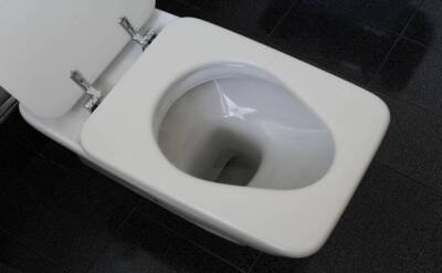 Светлана Протас - Простейший естественный трюк, чтобы быстро устранить запах мочи в ванной - lifehelper.one