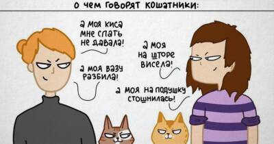 Художник рисует кошачьи комиксы, смешно показывая, что значит жить с четырьмя хвостатыми - mur.tv