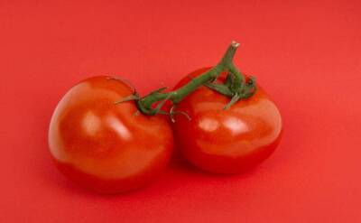 Светлана Протас - По три ведра томатов с куста – новый способ посадки, о котором знают единицы - sadogorod.club