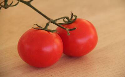 Светлана Протас - Что не любят томаты: 6 ошибок, которые допускают огородники при выращивании помидоров - sadogorod.club