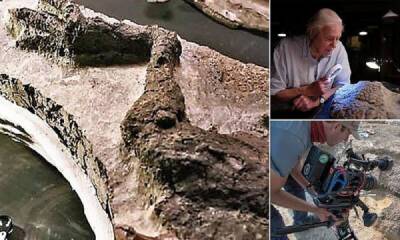 Ученые нашли древние останки, датированные днём гибели динозавров - porosenka.net - Usa - штат Северная Дакота
