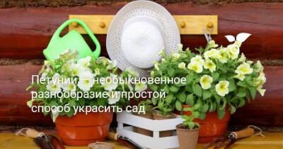 Петунии — необыкновенное разнообразие и простой способ украсить сад - sadogorod.club
