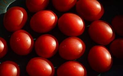 Светлана Протас - 3 секрета дачников, чтобы тепличные томаты были на вкус сладкими как мёд - sadogorod.club