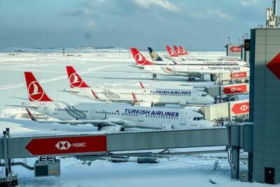 Турция создает авиакомпанию для перевозки российских туристов на курорты - spletnik.ru - Россия - Украина - Евросоюз - Турция