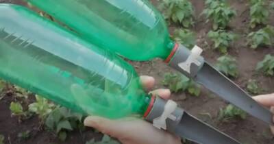 Удобная капельная система полива из обыкновенной бутылки своими руками - lifehelper.one