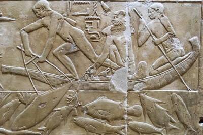 Кого древнеримские фараоны любили больше, чем кошек? - lifehelper.one - Египет