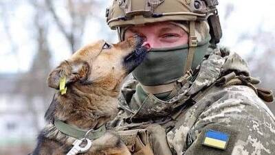Світ має знати: як службові собаки захищають Україну - vogue.ua