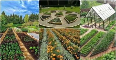 Огородное совершенство: 20 овощных клумб для тех, кто уважает посадки и выращивание - porosenka.net - Россия - Австралия