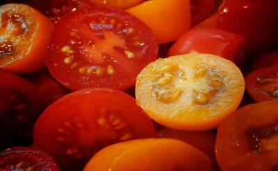 Светлана Протас - 2 сорта томатов, которые опаздывающие огородники могут посеять на рассаду в конце апреля - sadogorod.club