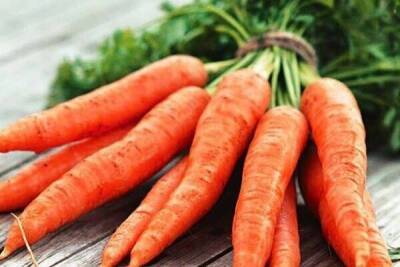 ​Раствор марганцовки для моркови - lifehelper.one