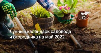 Лунный календарь садовода и огородника на май 2022 - sadogorod.club