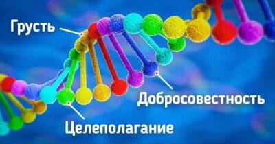 ​Что такое генетический тест и безопасно ли его делать - polsov.com