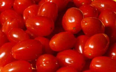 Светлана Протас - Надежная подкормка, от которой томаты без ума: что нужно обязательно класть в лунки - sadogorod.club