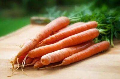 Елен Гутыро - Как сохранить морковь на грядке, не выкапывая: не каждый дачник знает - sadogorod.club