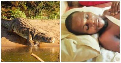 Житель Зимбабве чудом пережил жестокое нападение крокодилов - porosenka.net - Зимбабве