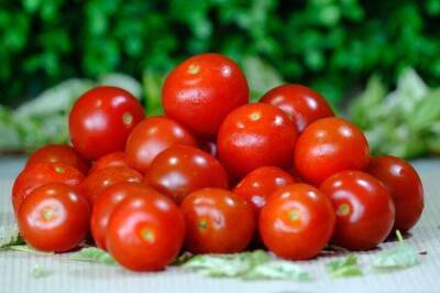 Игорь Зур - До 2-3 ведер с куста: всего один ингредиент и урожай томатов не перестанет радовать глаз - lifehelper.one