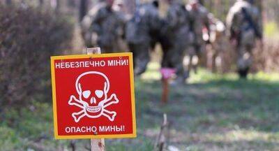 Українки проходять у Косові підготовку зі знешкодження мін - womo.ua - Україна - Косово - Югославия