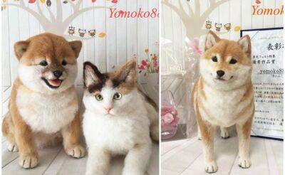 Собаки и кошки из валяной шерсти - fokus-vnimaniya.com - Япония