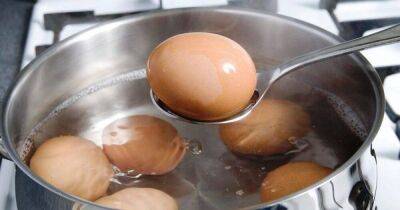 Как правильно сварить куриные яйца, чтобы легко чистились - lifehelper.one