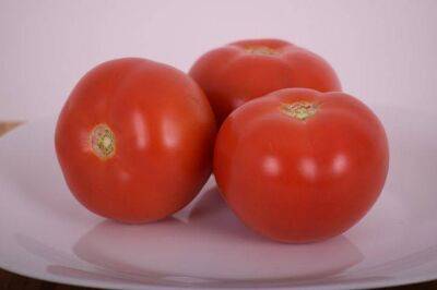 Сорт томатов, от которых невозможно отказаться: вырастают сладкие, как мед - sadogorod.club