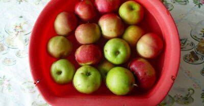 Чтобы моченые яблоки получились как в детстве, в рассол добавляю мёд и гвоздику - lifehelper.one