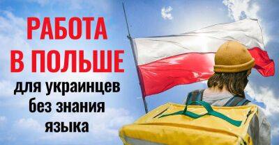 На какую работу в Польше может устроиться украинец, не зная языка - lifehelper.one - Украина - Польша