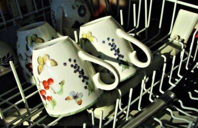 Марин Михалап - Неприятный запах в посудомоечной машине: какие простые способы помогут справиться с проблемой - lifehelper.one