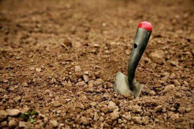 Елен Гутыро - 1 ложка копеечного удобрения даже песок превратит в плодородную почву: урожаем завалит с головы до ног - sadogorod.club