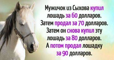 Задача о фермере и лошадке для тех, кто хочет достичь финансового благополучия - lifehelper.one