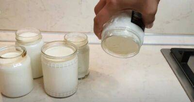 Лучший рецепт — густой йогурт в домашних условиях в банке БЕЗ закваски - lifehelper.one