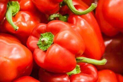 Как приготовить сверхпитательную подкормку для перца и томатов, чтобы получить небывалый по качеству и количеству урожай - sadogorod.club