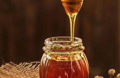 Как простыми способами точно и быстро проверить мед на натуральность - lifehelper.one