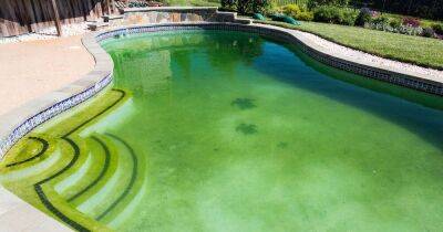 По какой причине вода в бассейне «зацветает» и зеленеет - lifehelper.one