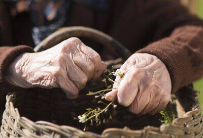 Старушка и огород: понимаем ли мы наших стариков? - lifehelper.one