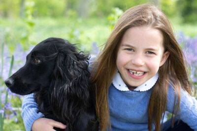 Кейт Миддлтон - принц Луи - принцесса Шарлотта - Джеймс Миддлтон - Kate Middleton - Кейт Миддлтон поделилась новыми фото принцессы Шарлотты по случаю ее 7-летия - spletnik.ru