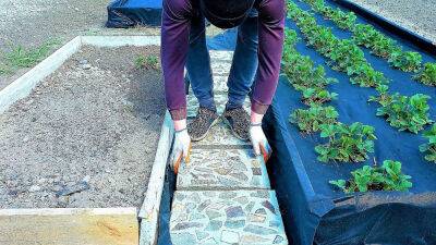 Уже всем соседям сделал такую бюджетную садовую плитку. Красиво, недорого, практично - cpykami.ru