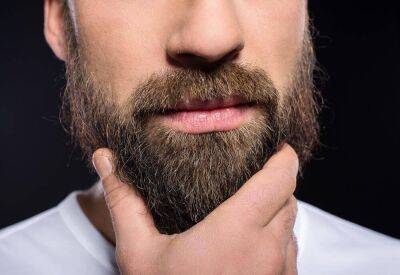 Зачем мужчине борода? - lifehelper.one