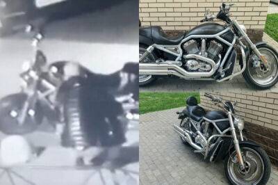 Обменял на пару кирпичей: житель Кудрово лишился Harley-Davidson, поверив покупателю с "Авито" - porosenka.net - Санкт-Петербург - Ленобласть обл.