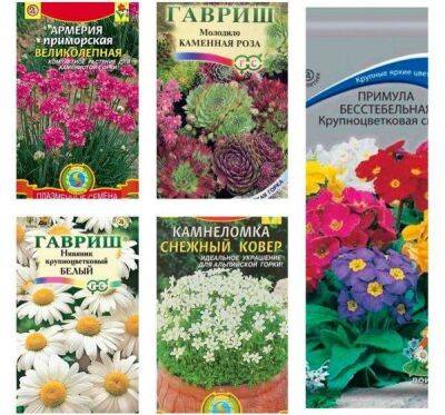 Многолетники, которые можно вырастить из семян: список цветов и декоративных растений - sadogorod.club