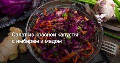 Салат из красной капусты с имбирем и медом - sadogorod.club