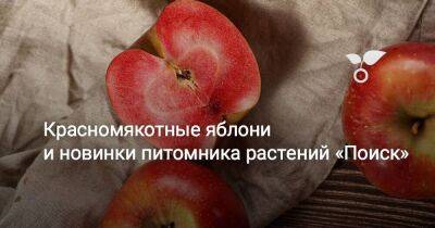 Красномякотные яблони и новинки питомника растений «Поиск» - sadogorod.club