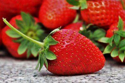 Клубника завалит урожаем крупных и сладких ягод, если ее подкормить одним копеечным средством - sadogorod.club