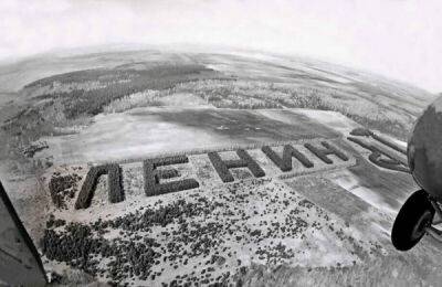Как в СССР создавали леса в форме слов - porosenka.net - Ссср - республика Башкирия - Благовещенск