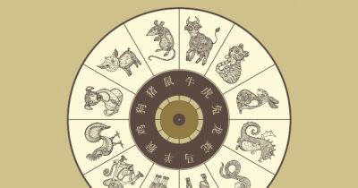 Наталия Гурьянова - Китайский гороскоп на июнь 2022 года - 7days.ru