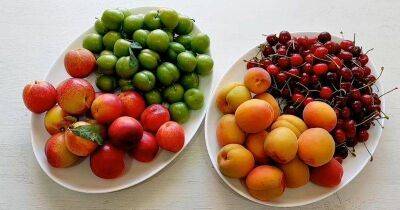 Храню фрукты и ягоды целый год. Они остаются свежими, сочными, очень вкусными - lifehelper.one